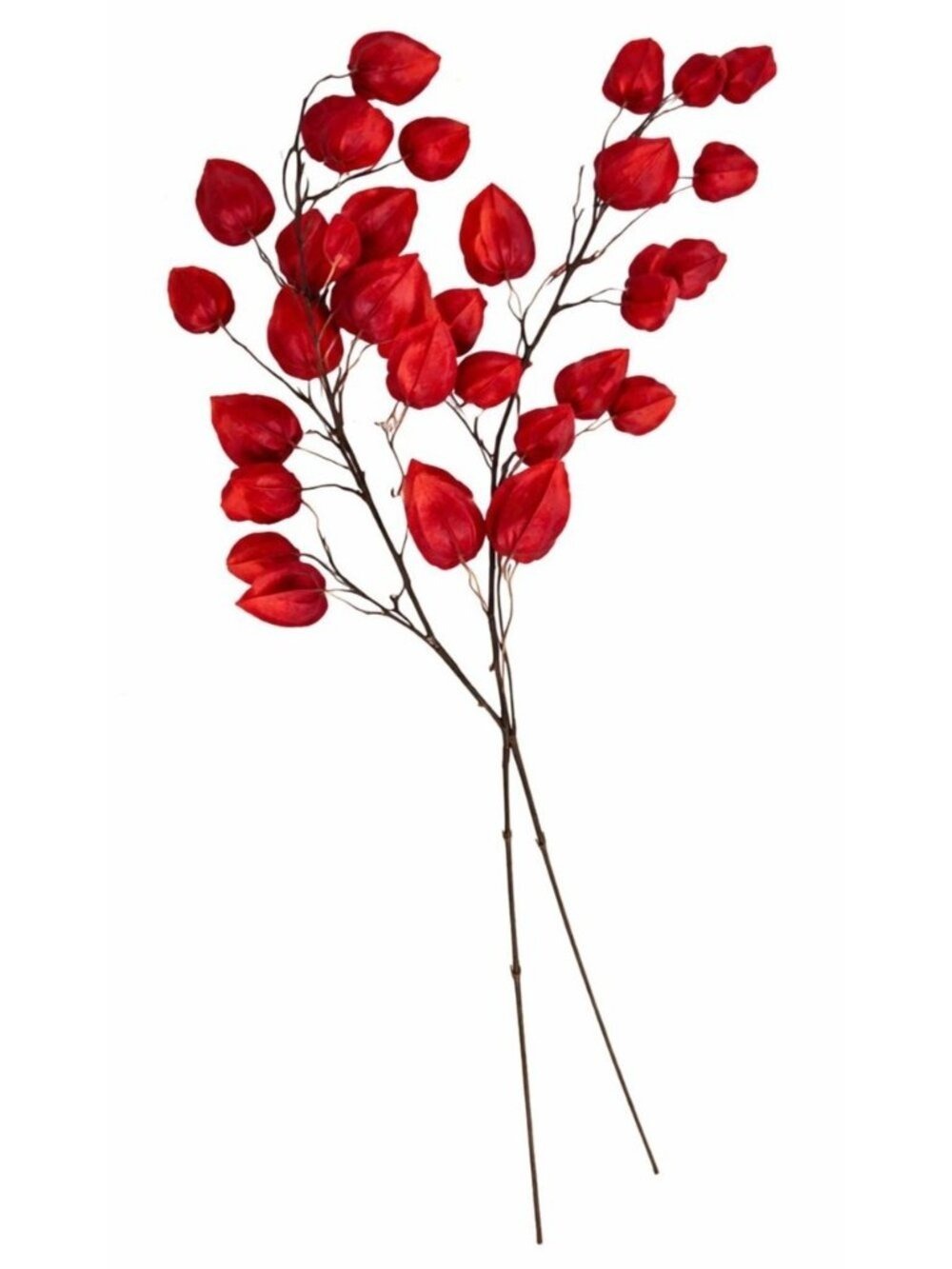Red Burgundy Chinese Lantern Stems Faux Fall Branches Artificial Physalis 36 Inc